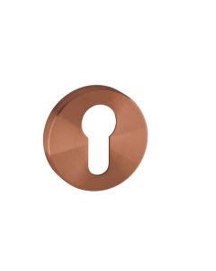 JNF cilinder rozet rond 50 x 8 mm Titanium-Copper